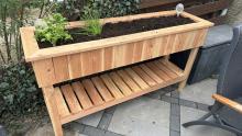 In de tuin